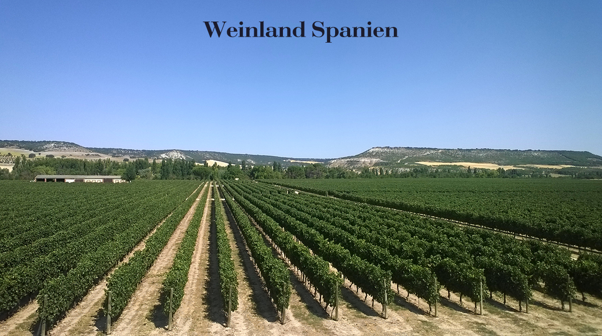 Weinland Spanien