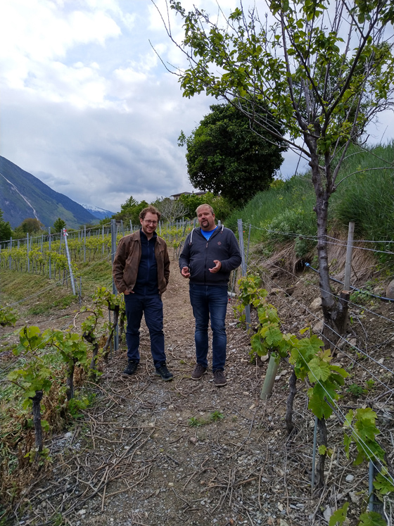 Mit Bruno Tenud im Weinberg