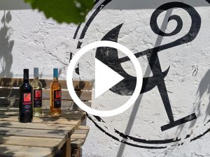 selection jullier exklusiv